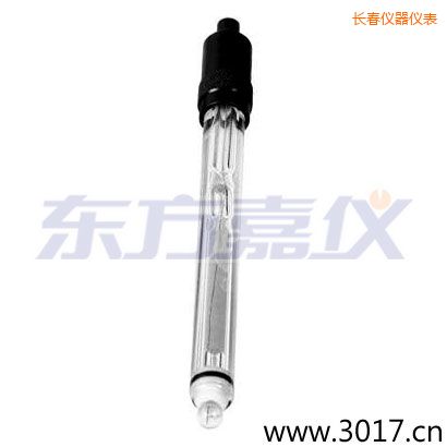 長春玻璃外殼純水電極