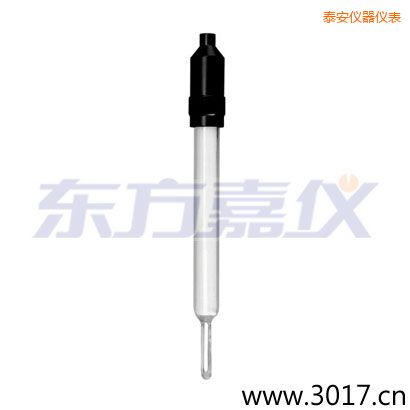 泰安玻璃外殼無溫補兩線電導率電極