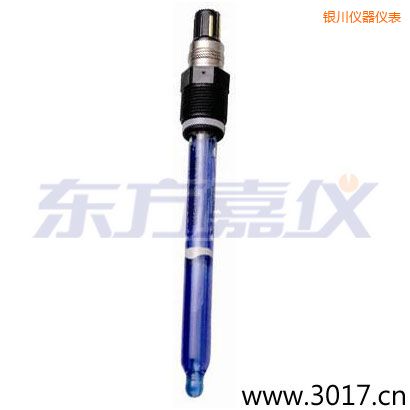 銀川測(cè)純水,超純水 PH電極